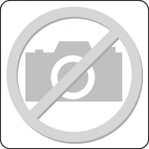Langguth Spülmittel Clean Konzentrat 10295 1l