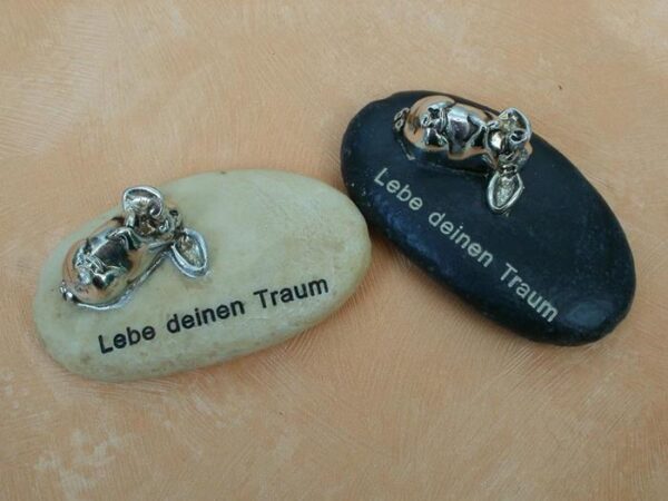 Schweinchen auf einem Stein, Lebe deinen Traum