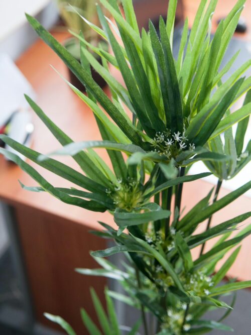 EUROPALMS Zyperngras, künstlich,76cm – Bild 4