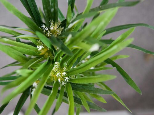 EUROPALMS Zyperngras, künstlich,76cm – Bild 2