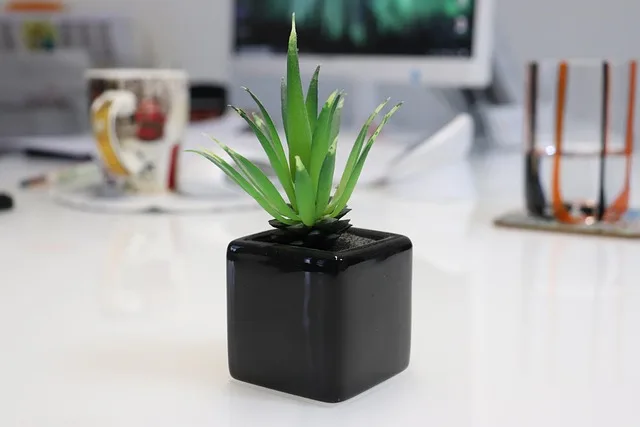 Kunstpflanze auf wei&szlig;em Tisch